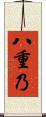 八重乃 Scroll
