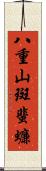 八重山斑蜚蠊 Scroll