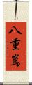 八重嶌 Scroll