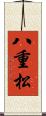 八重松 Scroll