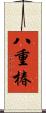 八重椿 Scroll