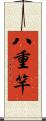 八重竿 Scroll