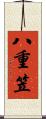 八重笠 Scroll