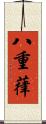 八重葎 Scroll