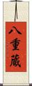 八重蔵 Scroll