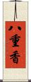 八重香 Scroll
