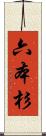 六本杉 Scroll