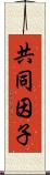 共同因子 Scroll