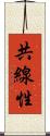 共線性 Scroll