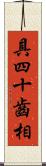 具四十齒相 Scroll