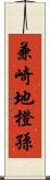 兼崎地橙孫 Scroll