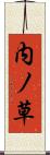 内ノ草 Scroll
