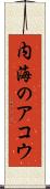 内海のアコウ Scroll