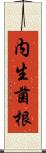 内生菌根 Scroll