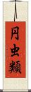 円虫類 Scroll