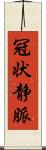 冠状静脈 Scroll