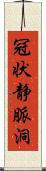 冠状静脈洞 Scroll