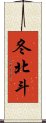 冬北斗 Scroll