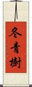 冬青樹 Scroll