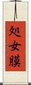 処女膜 Scroll