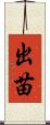 出苗 Scroll