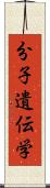 分子遺伝学 Scroll