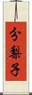 分梨子 Scroll