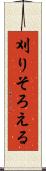 刈りそろえる Scroll
