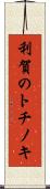 利賀のトチノキ Scroll