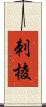 刺棱 Scroll