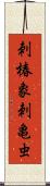 刺椿象;刺亀虫 Scroll