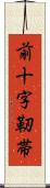 前十字靭帯 Scroll