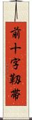 前十字靱帯 Scroll