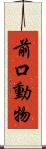 前口動物 Scroll
