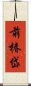 前椿岱 Scroll