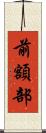 前額部 Scroll