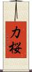 力桜 Scroll