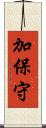 加保守 Scroll