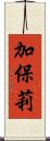 加保莉 Scroll