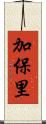 加保里 Scroll
