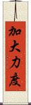 加大力度 Scroll