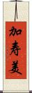 加寿美 Scroll