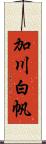 加川白帆 Scroll