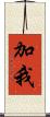 加我 Scroll