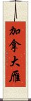 加拿大雁 Scroll