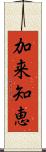 加来知恵 Scroll