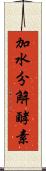 加水分解酵素 Scroll