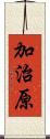 加治原 Scroll