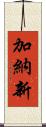 加納新 Scroll