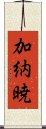 加納暁 Scroll